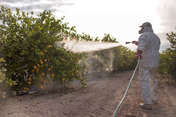 Best Insect Control  in Columbus, TX