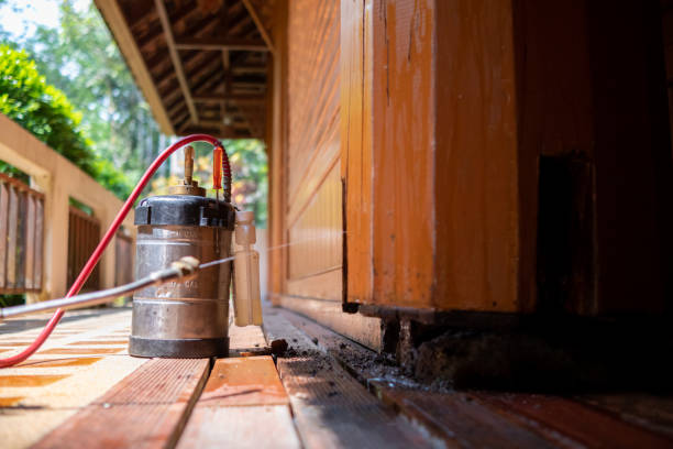 Best Mosquito Control Services  in Columbus, TX