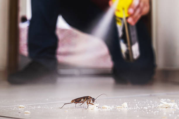 Wildlife Control Services in Columbus, TX