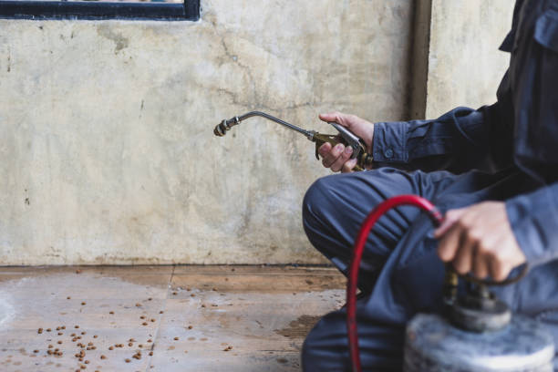 Best Pest Removal Services  in Columbus, TX